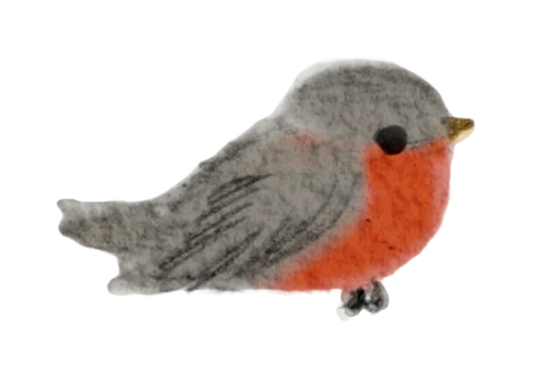Redbird icon